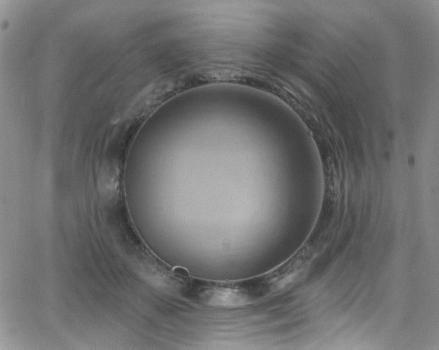 X0000063530507200601201501