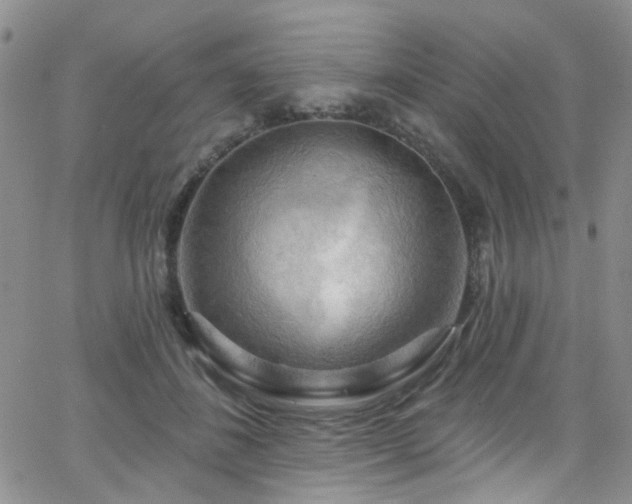 X0000063530508200601201501