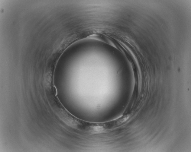 X0000063530509200601201501