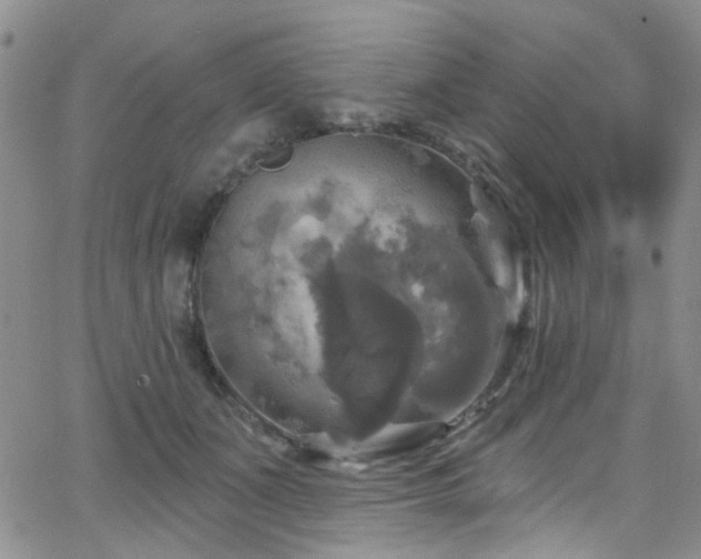 X0000063530511200601201501