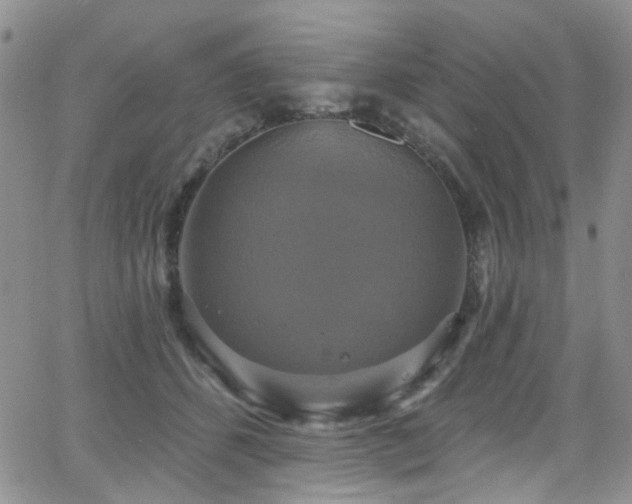 X0000063530512200601201501