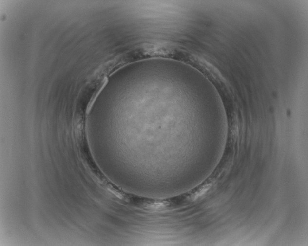 X0000063530513200601201501