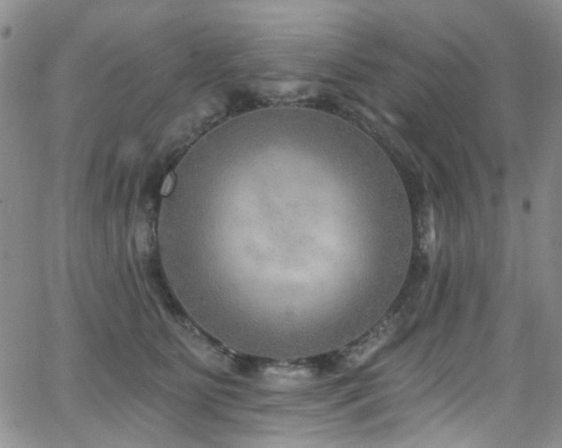 X0000063530515200601201501