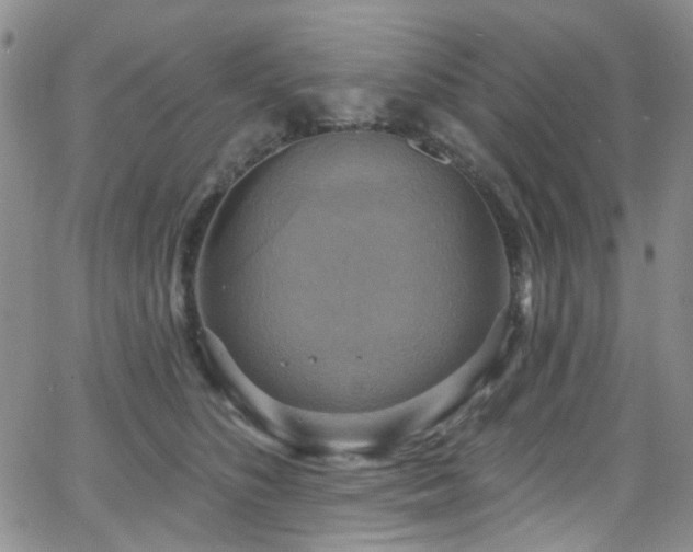 X0000063530516200601201501