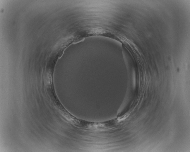 X0000063530517200601201501