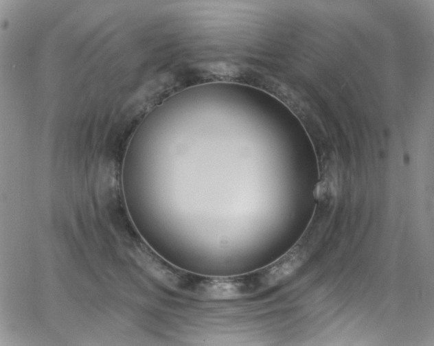 X0000063530518200601201501