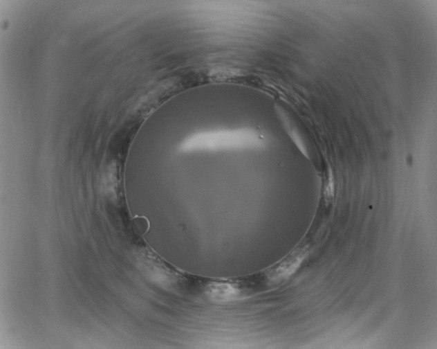 X0000063530519200601201501