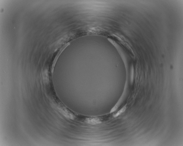 X0000063530520200601201501