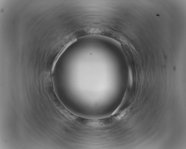 X0000063530521200601201501