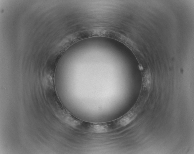 X0000063530522200601201501