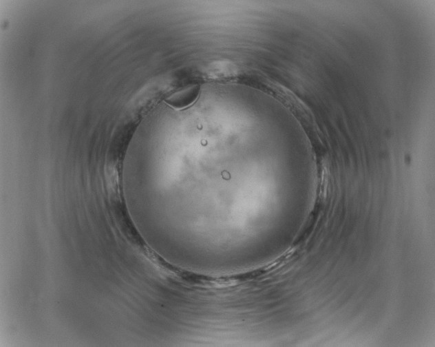 X0000063530523200601201501