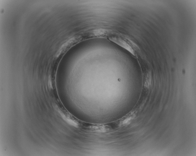 X0000063530524200601201501