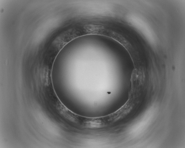 X0000063530525200601201501