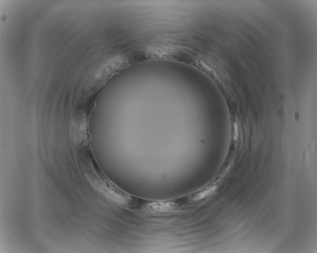 X0000063530526200601201501