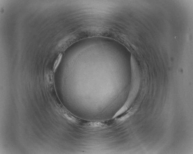 X0000063530528200601201501