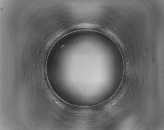 X0000063530529200601201500