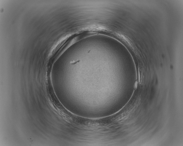 X0000063530531200601201500