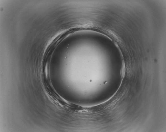 X0000063530532200601201500