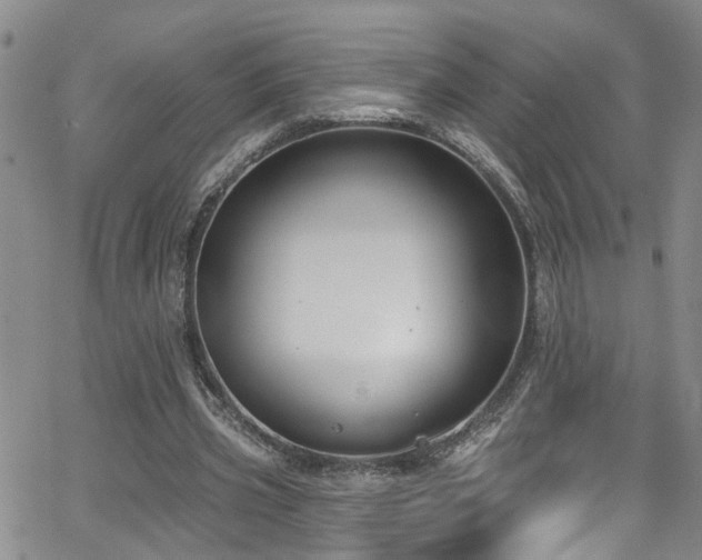 X0000063530533200601201500