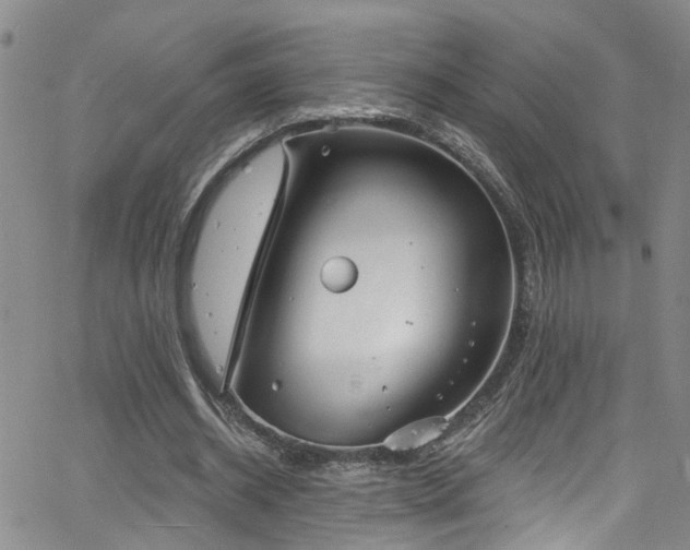 X0000063530534200601201500