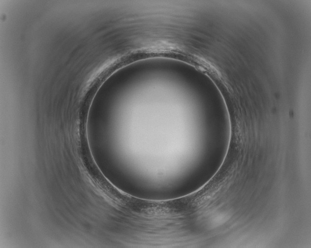 X0000063530535200601201500