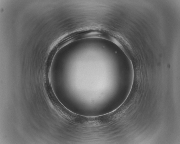 X0000063530536200601201500