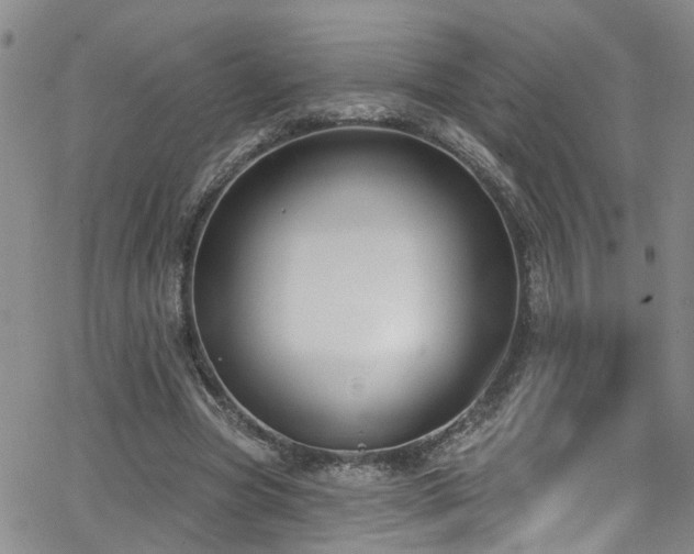 X0000063530537200601201500