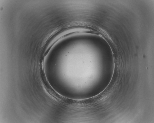 X0000063530538200601201501