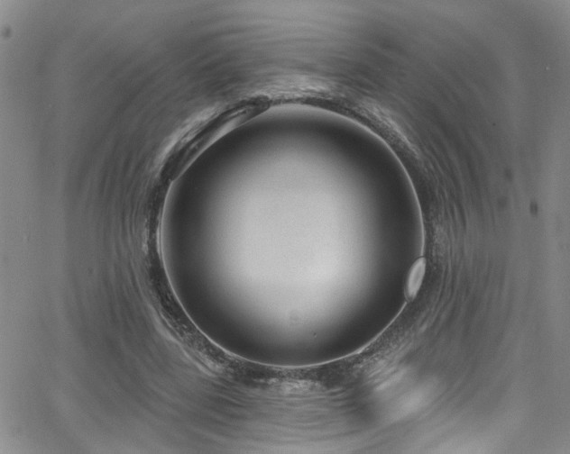 X0000063530539200601201501