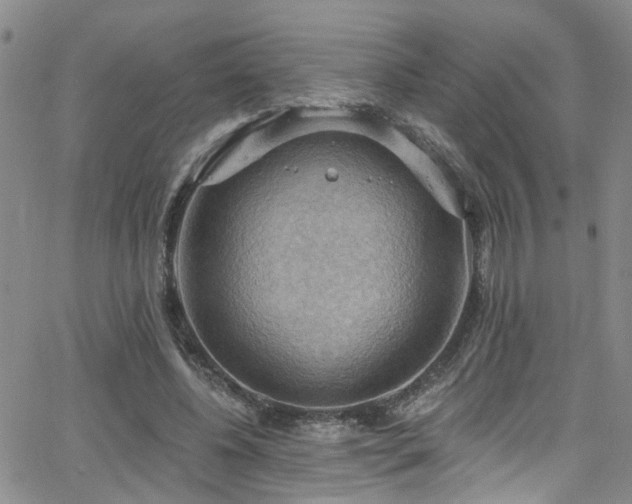 X0000063530540200601201501