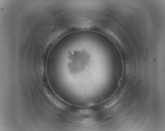 X0000063530541200601201501