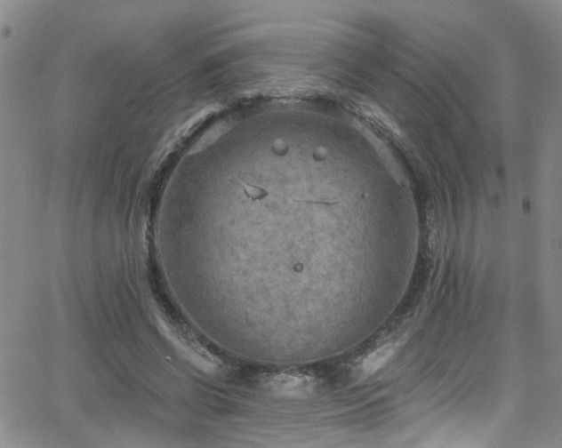 X0000063530542200601201501