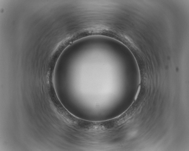 X0000063530543200601201501