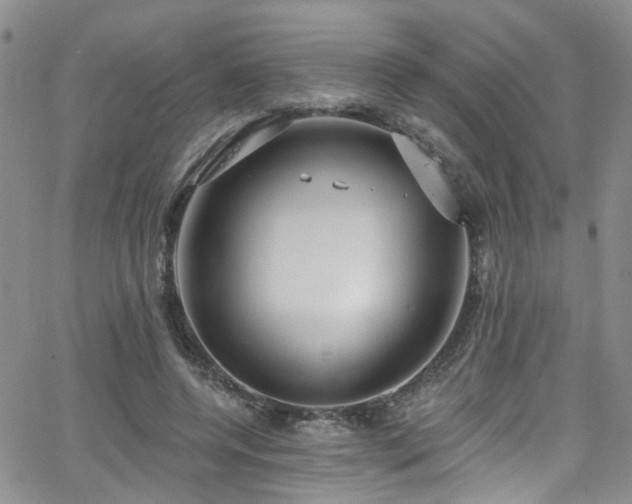 X0000063530544200601201501