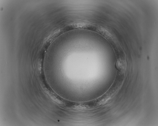 X0000063530545200601201501