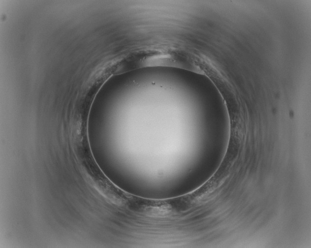 X0000063530548200601201501