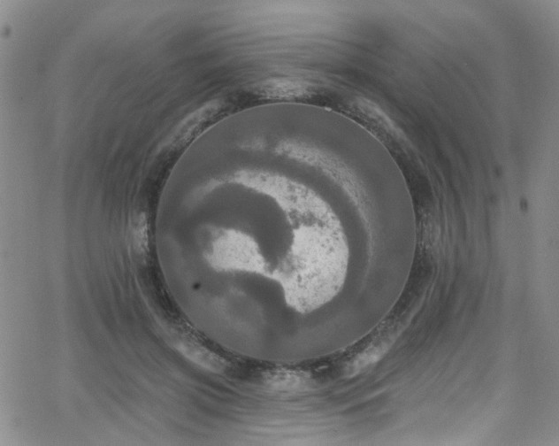 X0000063530549200601201501