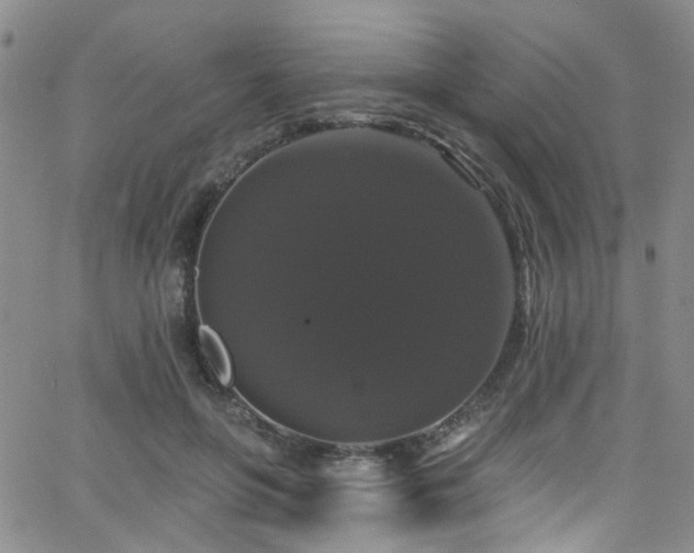 X0000063530551200601201501