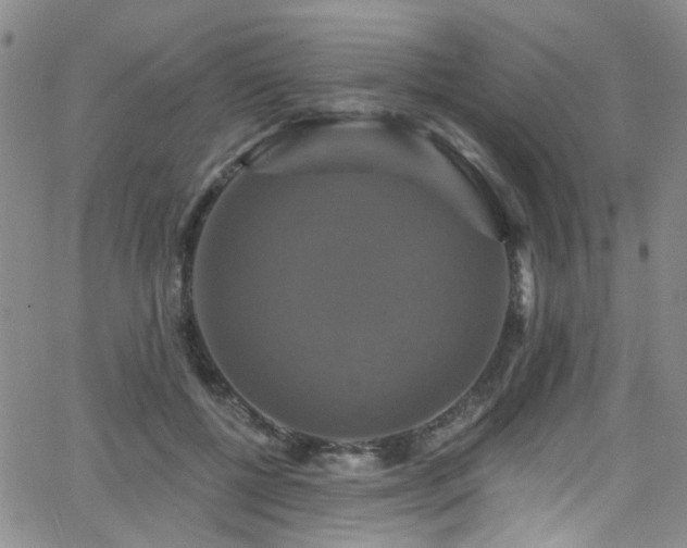 X0000063530552200601201501