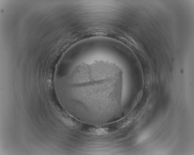 X0000063530553200601201501