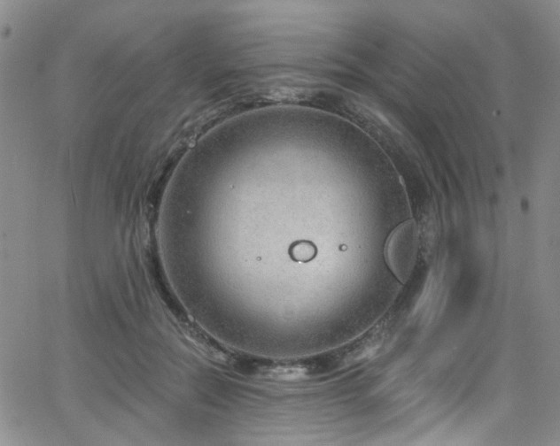 X0000063530554200601201501