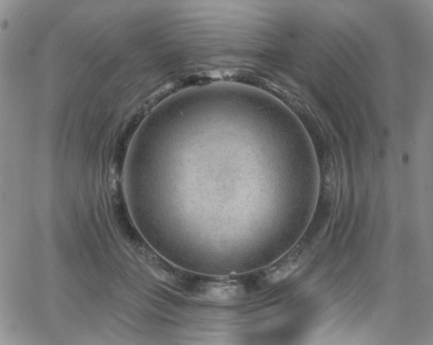 X0000063530555200601201501