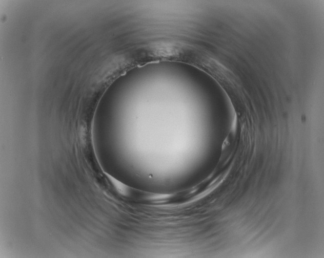 X0000063530556200601201501