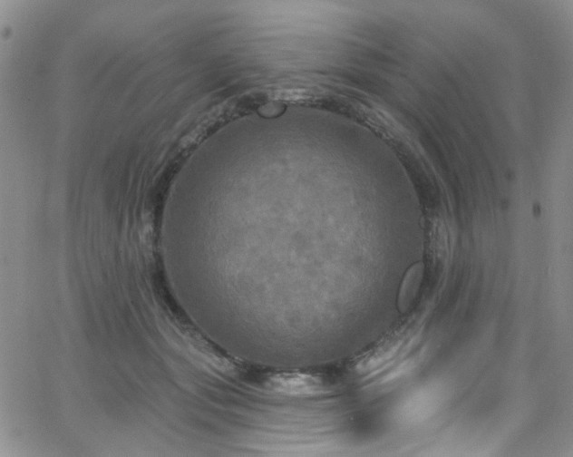 X0000063530557200601201501