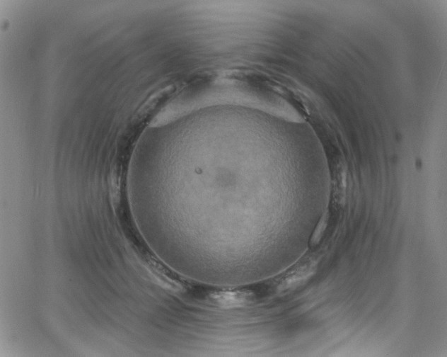 X0000063530558200601201501