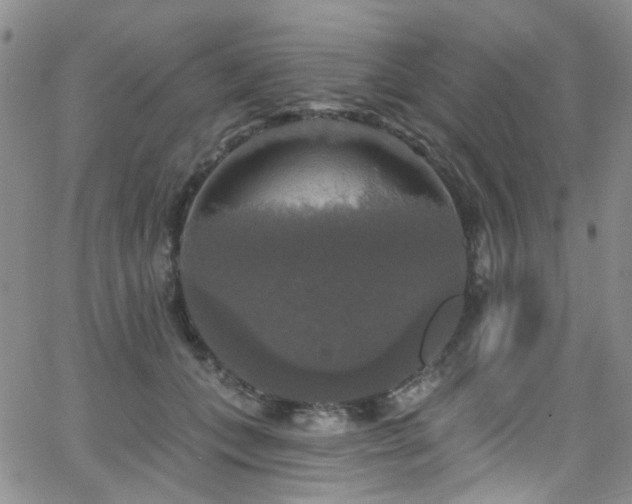 X0000063530559200601201501