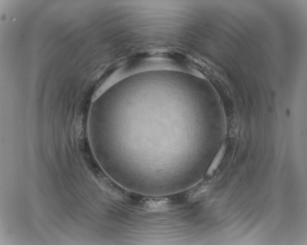 X0000063530560200601201501