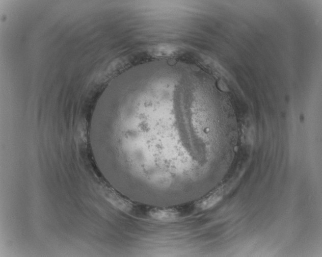 X0000063530561200601201501