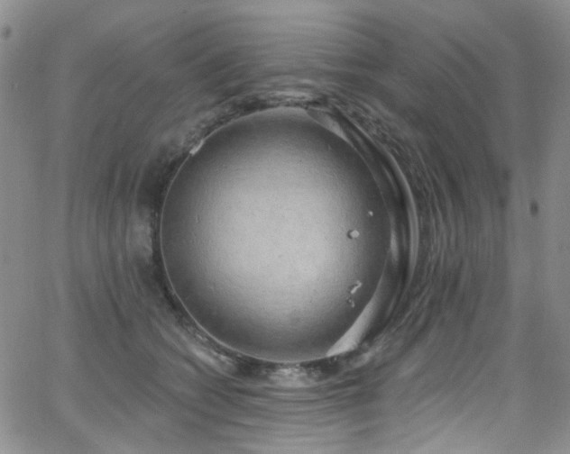 X0000063530562200601201501