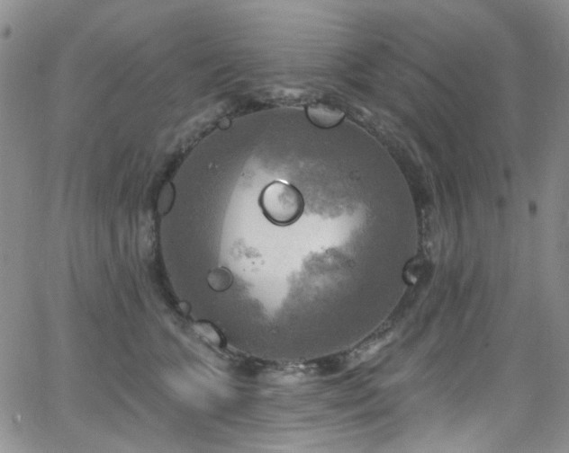 X0000063530563200601201501